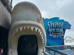 -香港海洋公园
