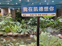 -凯德广场(学府店)