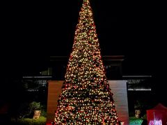 -上海崇明金茂凯悦酒店