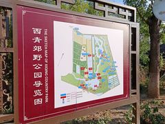 -西青郊野公园