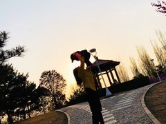 -燕郊植物园