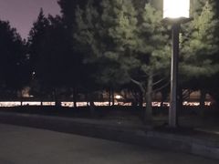 -大雁塔北广场音乐喷泉