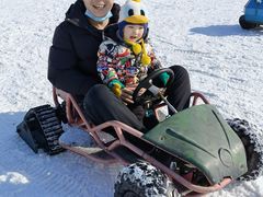 -绿野森林乐园冰雪季