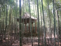 -象山森林公园