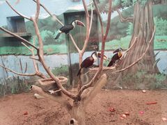 -沈阳森林动物园