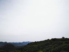 -贵州百里杜鹃风景名胜区