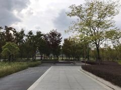 -长田漾湿地公园