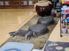 -服务大楼冷面(延大店)