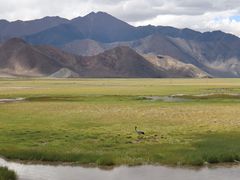 -班公湖