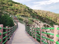 -广东惠东海龟国家级自然保护区