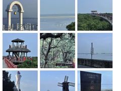 -北海金海湾红树林生态旅游区