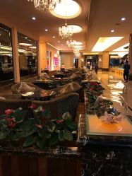 -星河湾酒店·宴会厅(番禺大道北店)