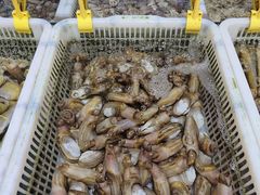 -乐兴海鲜餐厅