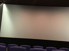-大地院线珠江摩尔店(CL全景超级影院)