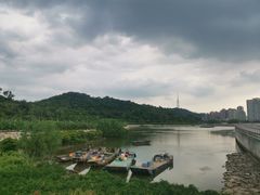 -野狸岛