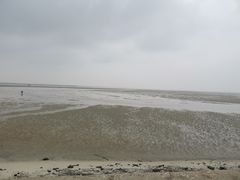 -北海金海湾红树林生态旅游区