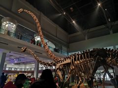 -自贡恐龙博物馆