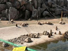 -大青山野生动物园