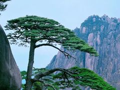 -黄山风景区