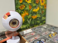-ORANGE VISION橙光眼镜·蔡司
