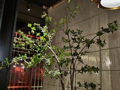-江户烧肉(高德店)