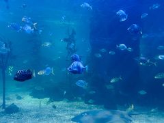 -常州海昌海洋探索馆