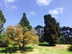 -墨尔本皇家植物园