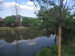 -洪湖家庭农场·团建·露营·会议
