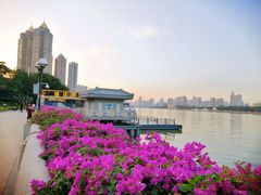 -珠江夜游广州塔·中大码头