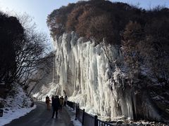 -少华山国家森林公园