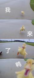 -麗宫轻医美·问题肌肤管理中心