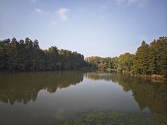 -东湖落雁景区