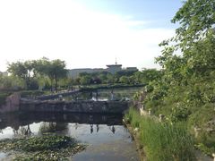 iphone_upload_pic-丁家河公园