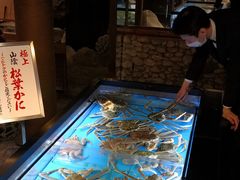 松葉かに-蟹道乐(網元別館店)
