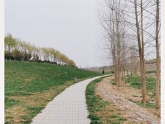 -洨河生态公园