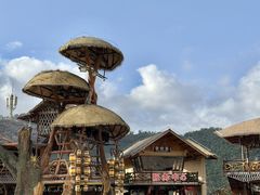 -海南槟榔谷黎苗文化旅游区