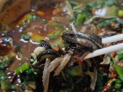 -乐山第一家临江鳝丝(茶坊路店)