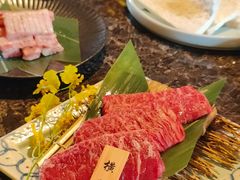 -老乾杯(深圳湾万象城店)
