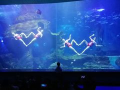 -多彩贵州城极地海洋世界