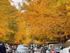 -辽宁大学(崇山校区)