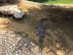 -石家庄市动物园