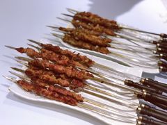 羊肉串-巴依老爷·新疆美食(上城区天城路店)