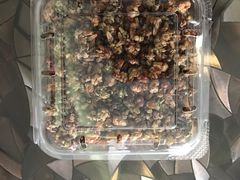 -花山蓝莓采摘园