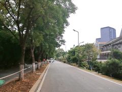 -武汉园博园(武汉自然博物馆)