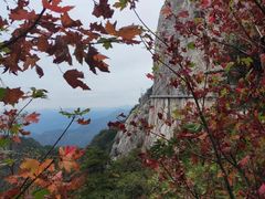 -明堂山风景区