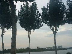 android_upload_pic-丁香湖公园
