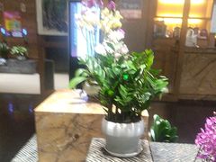 -黔蘑菇四季餐厅(观山湖店)