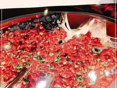 -紫光园·烤鸭·北京菜(劲松店)