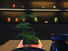 -深圳隐秀山居酒店