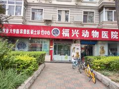 -瑞派福兴宠物医院犬猫全科·骨科·中西医结合(河东店)